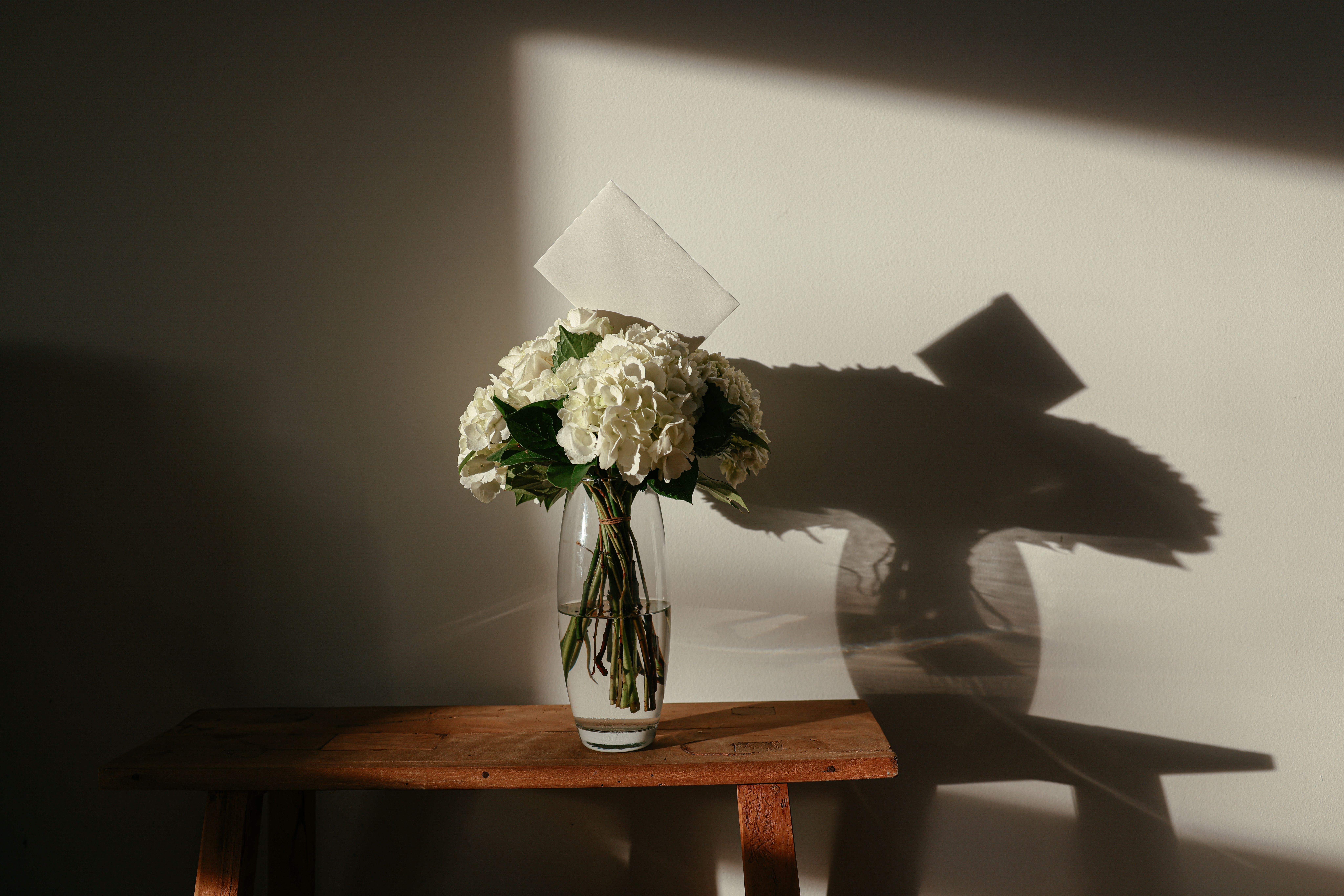 White hydrangeas in a glass vase casting soft shadows on a wooden table