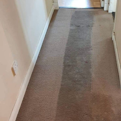 Best Cleaning Services by Connors Carpet Cleaning