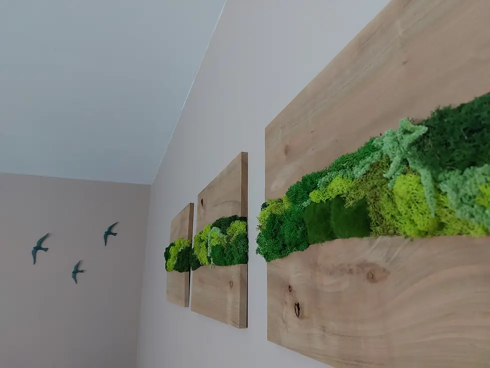 décoration tableau de végétaux stabilisés
