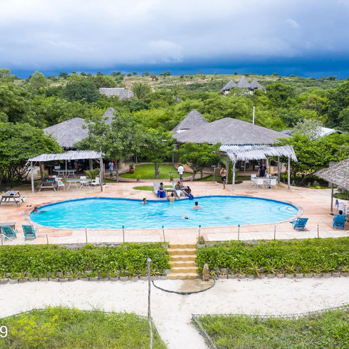 59796604_2219636648113044_4665792319910313984_n