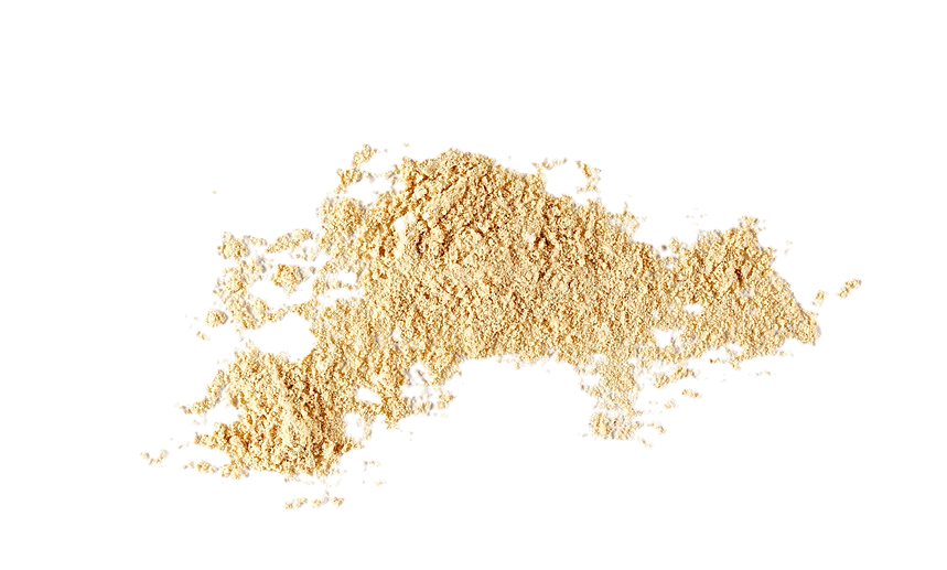 Ginger powder isolated on white, top view__edited.png