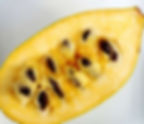 Pawpaw