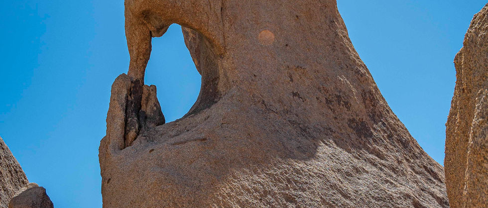 Joshua Tree Smaller-12.jpg