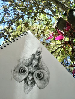 90938830_10216586106986637_4365612846524