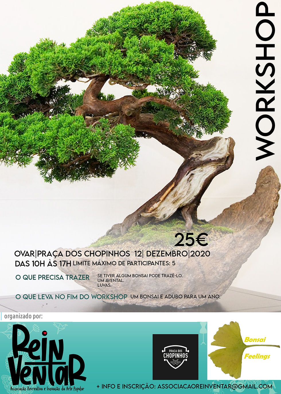 🍀 Workshop de iniciação à Arte do Bonsai com Bonsai Feelings