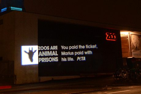 zoos are animal prisons.gif