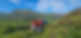 dofe.jpg