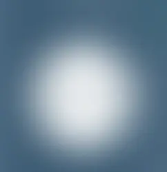 IP infringement in Germany: how much is it worth?