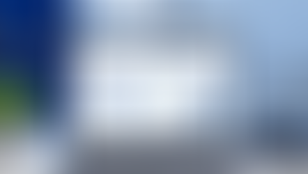 AI in Business? Transparency and Labeling Duties under the EU AI Act