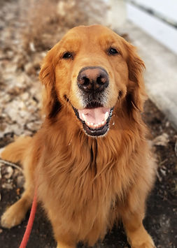 IMG_20240305_150505500_PORTRAIT (1)_edit