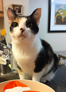 IMG_20240906_191446816 (1)_edited.jpg