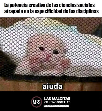 gato y especificidad d ela ciencia.jpeg