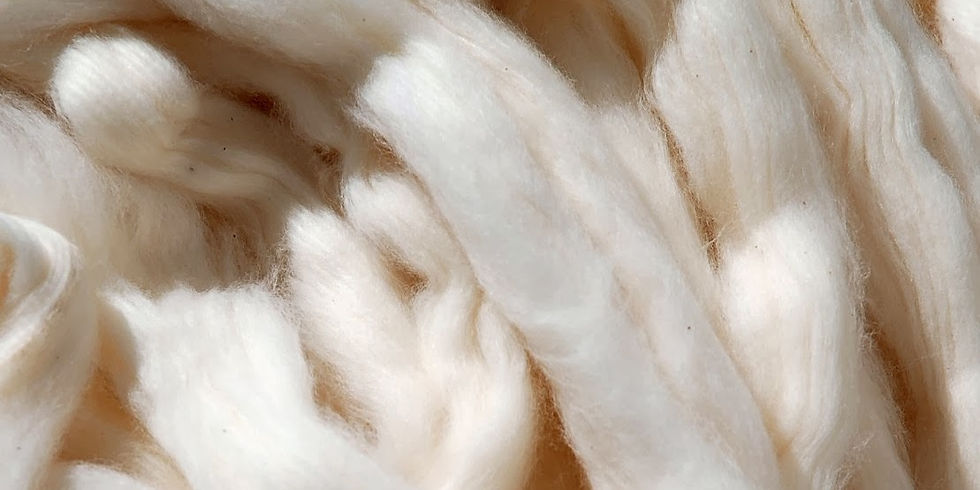 Fibras de algodão cru em close, com textura macia e natural