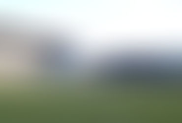 Banking on the Supporters' Trust