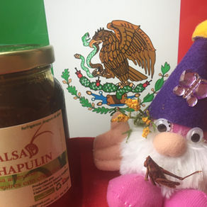 Louie Jr. Shares his Mexican Tasting Adventure
