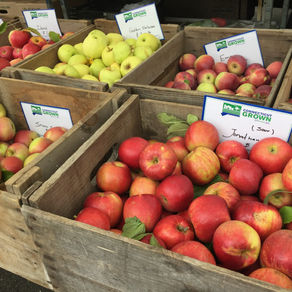 Apple-solutely Delicious Crunch   