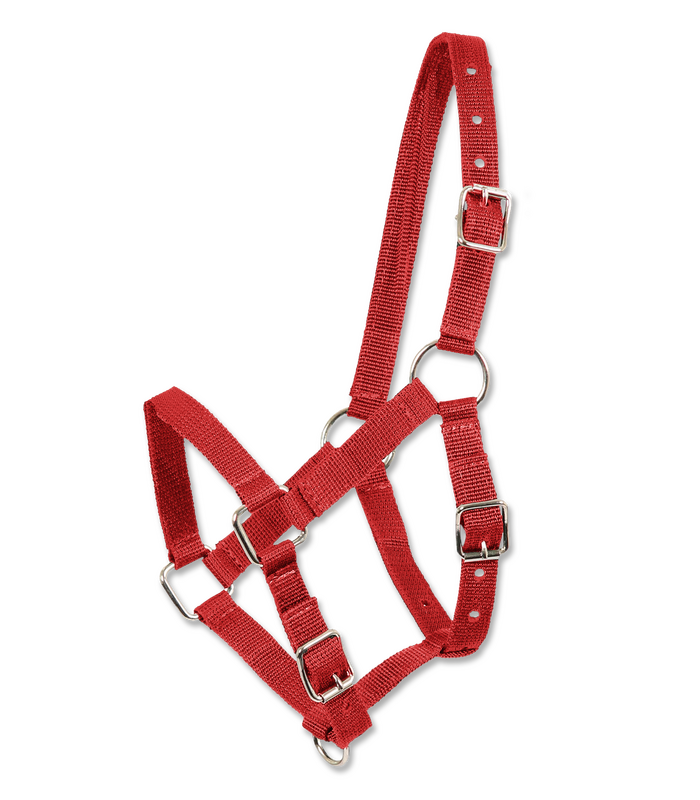 Thumbnail: Perlon Foal Halter