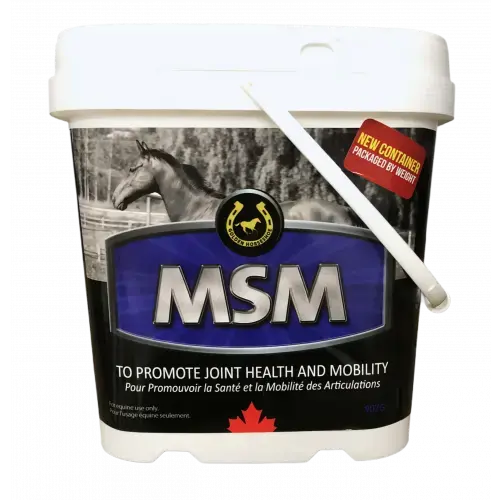 MSM - Golden Horseshoe