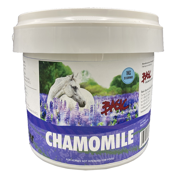 CHAMOMILE- 1Kg