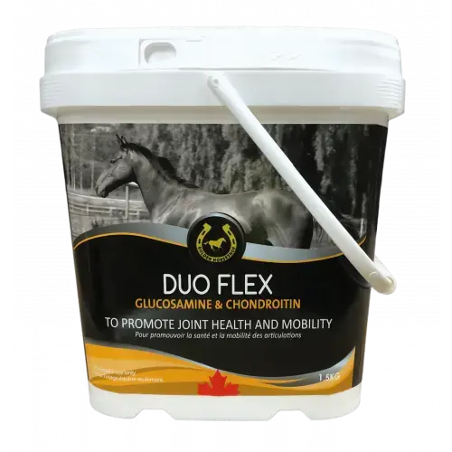 Duo Flex (Golden Horseshoe)