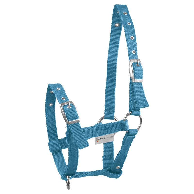 Thumbnail: Nylon Adjustable Foal Halter