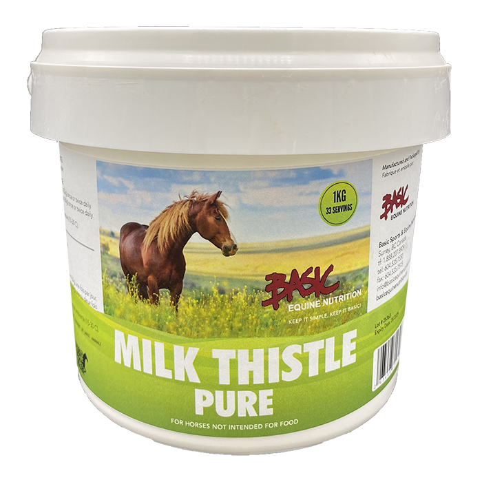 Milk Thistle- 1Kg