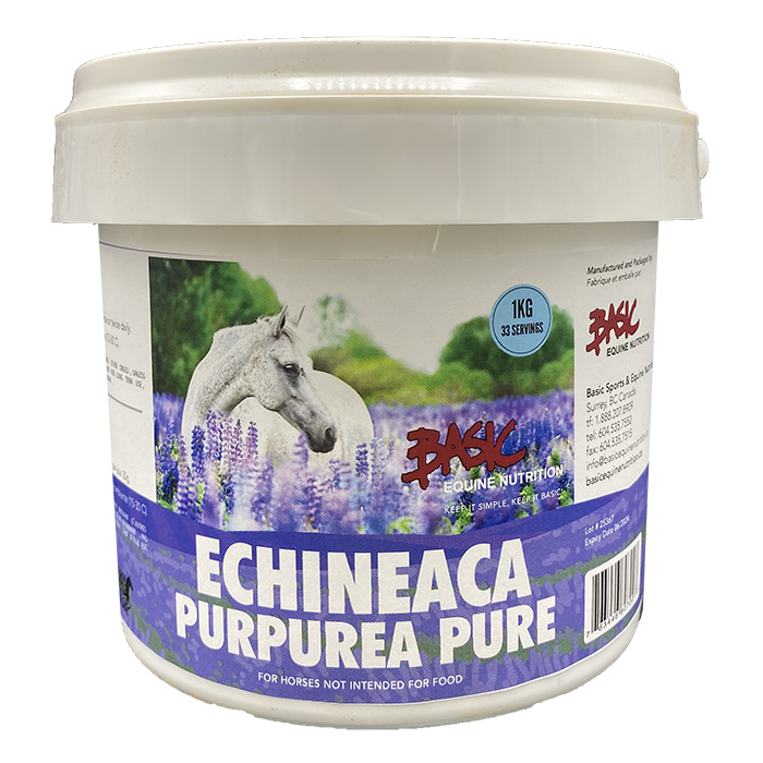 Echinacea Purpurea Pure- 1Kg