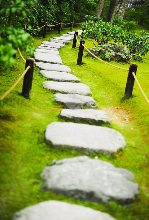 Path and Stones.jpg