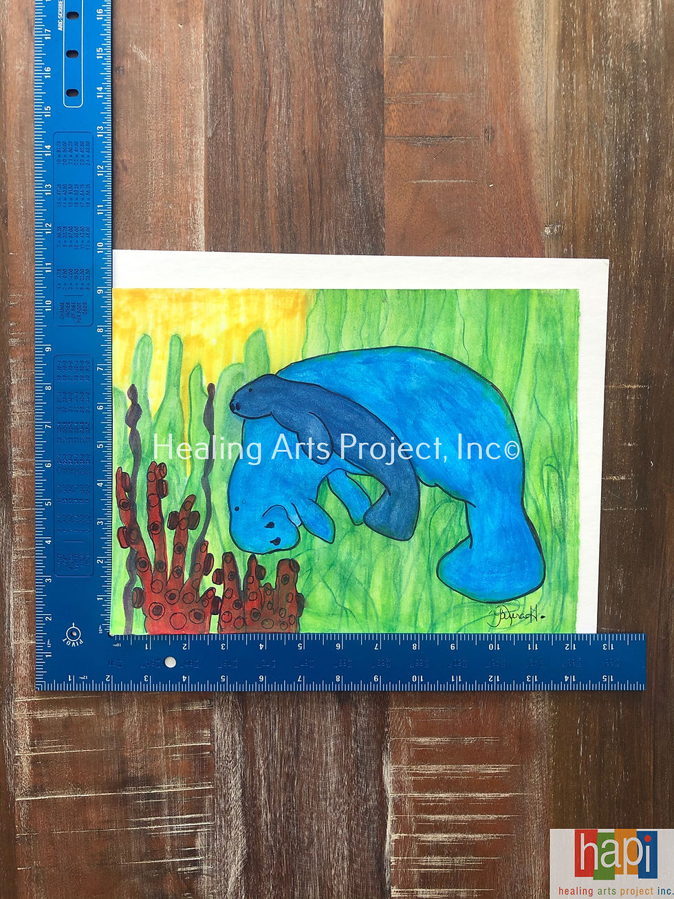 Thumbnail: Manatees