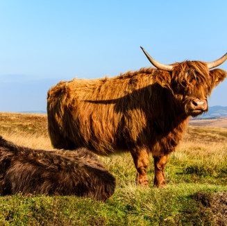 Surrounded by spectacular moorland