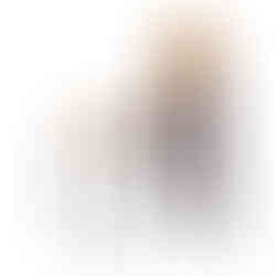 リノベる 桜丘ショールーム 9