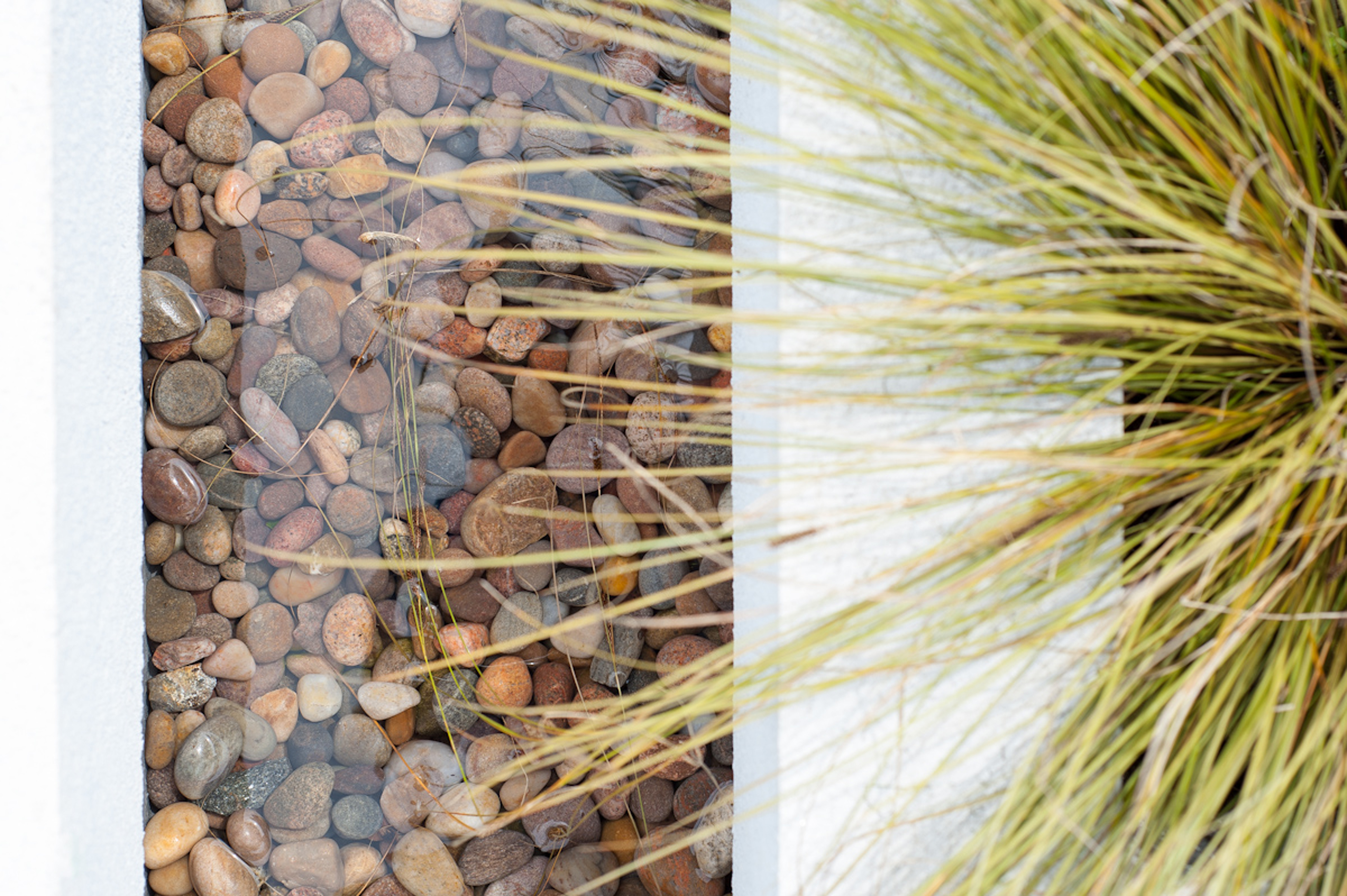 C-architecture Limited — Landscape and architecture