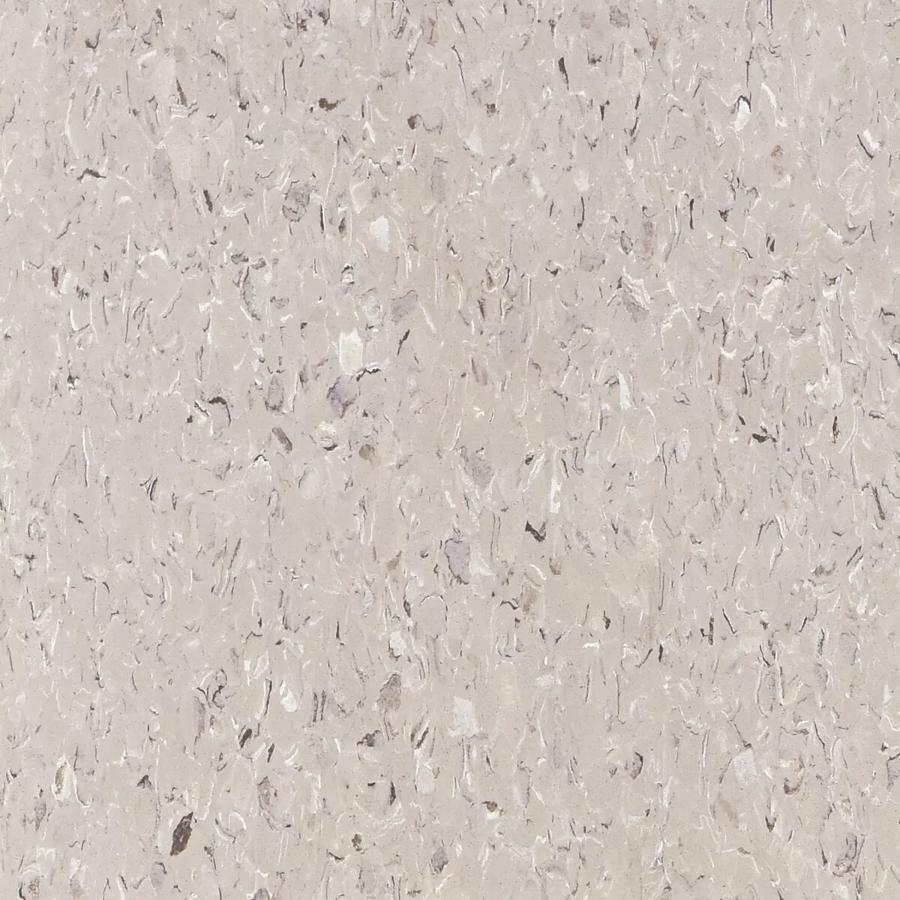 Pewter 509
