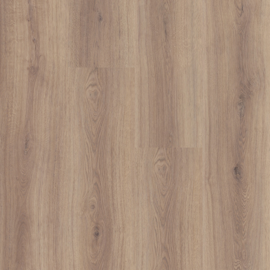 Feathered Oak