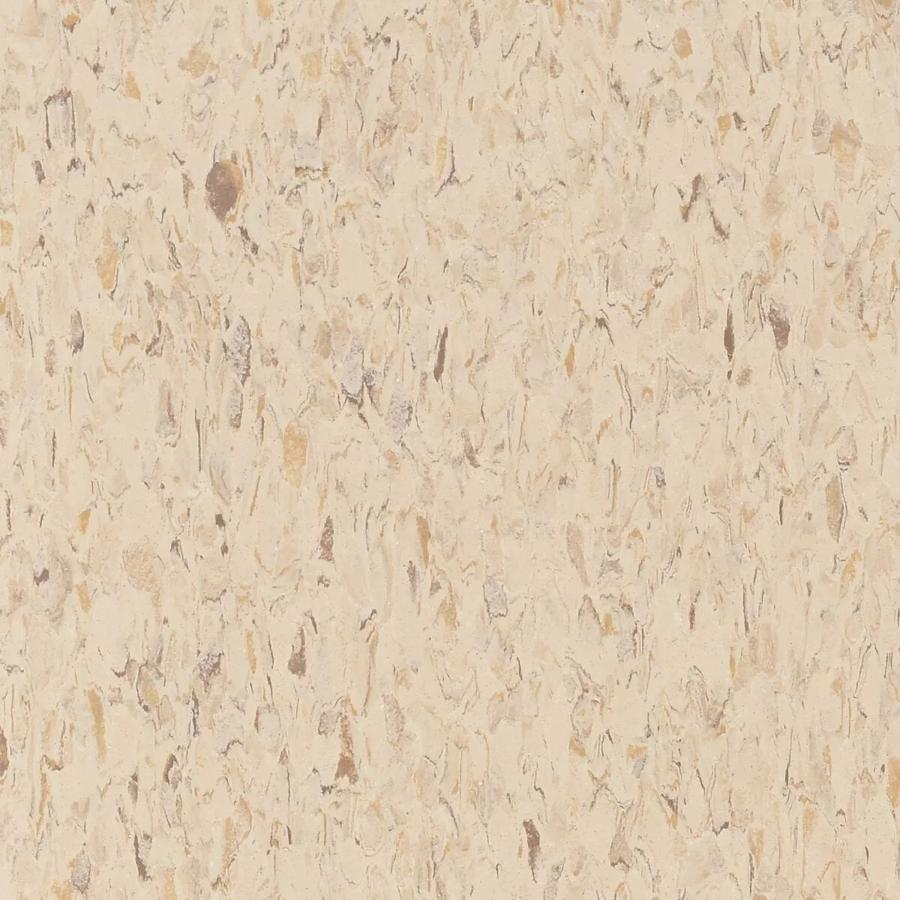 Desert Storm 573
