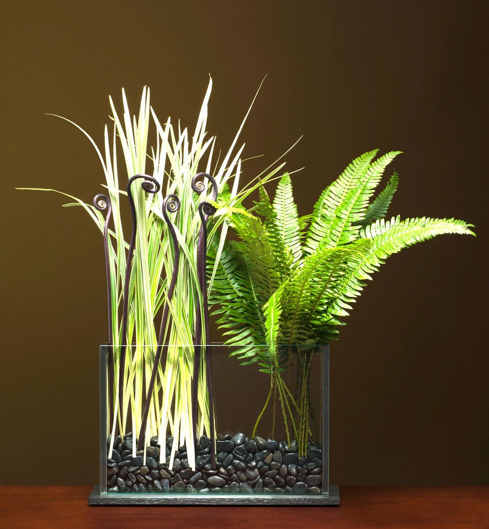 Two glass vases holding plants on a brown surface, with ferns.