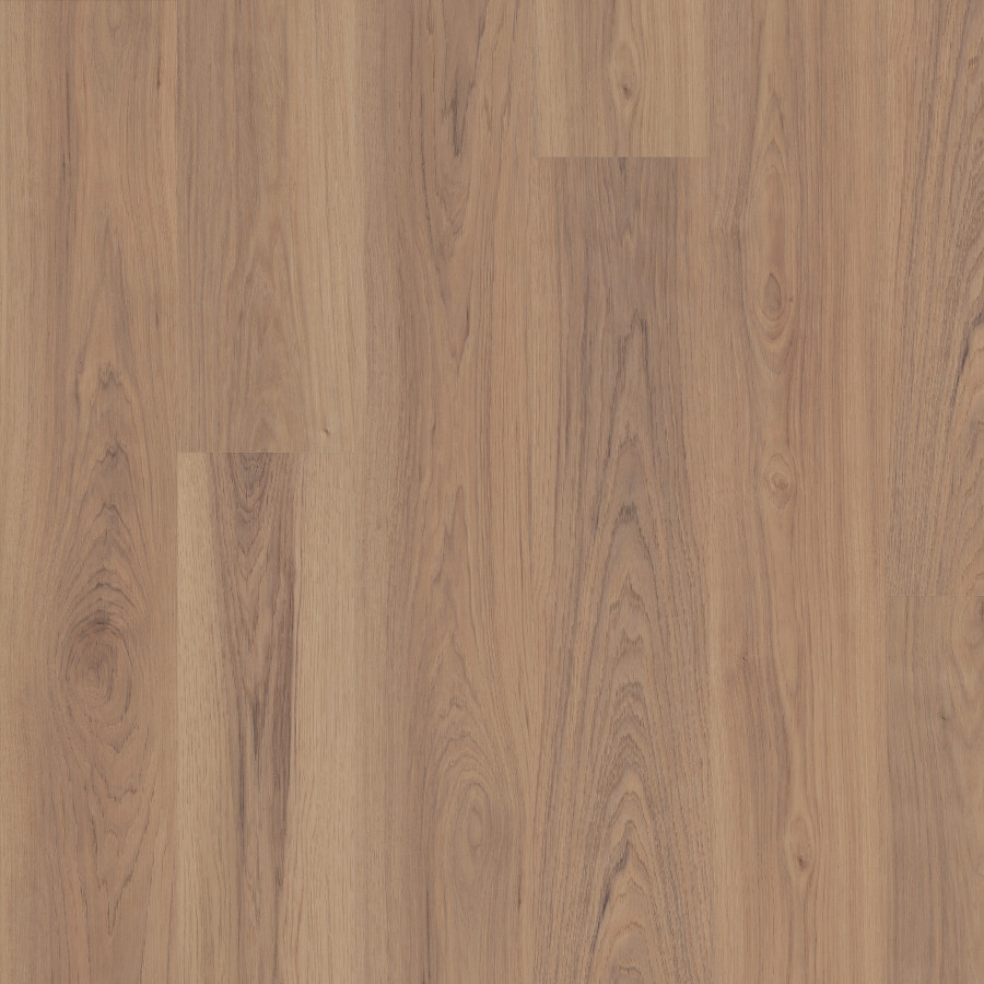 Rattan Hickory