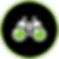 searchicon.png