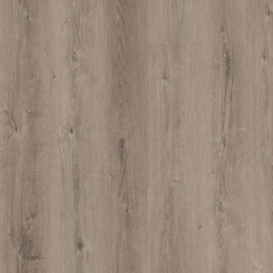 Quarry Oak