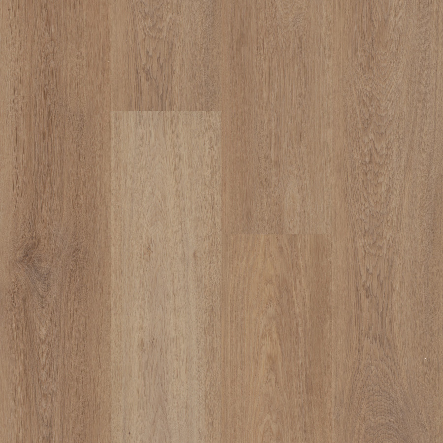 Tusk Oak