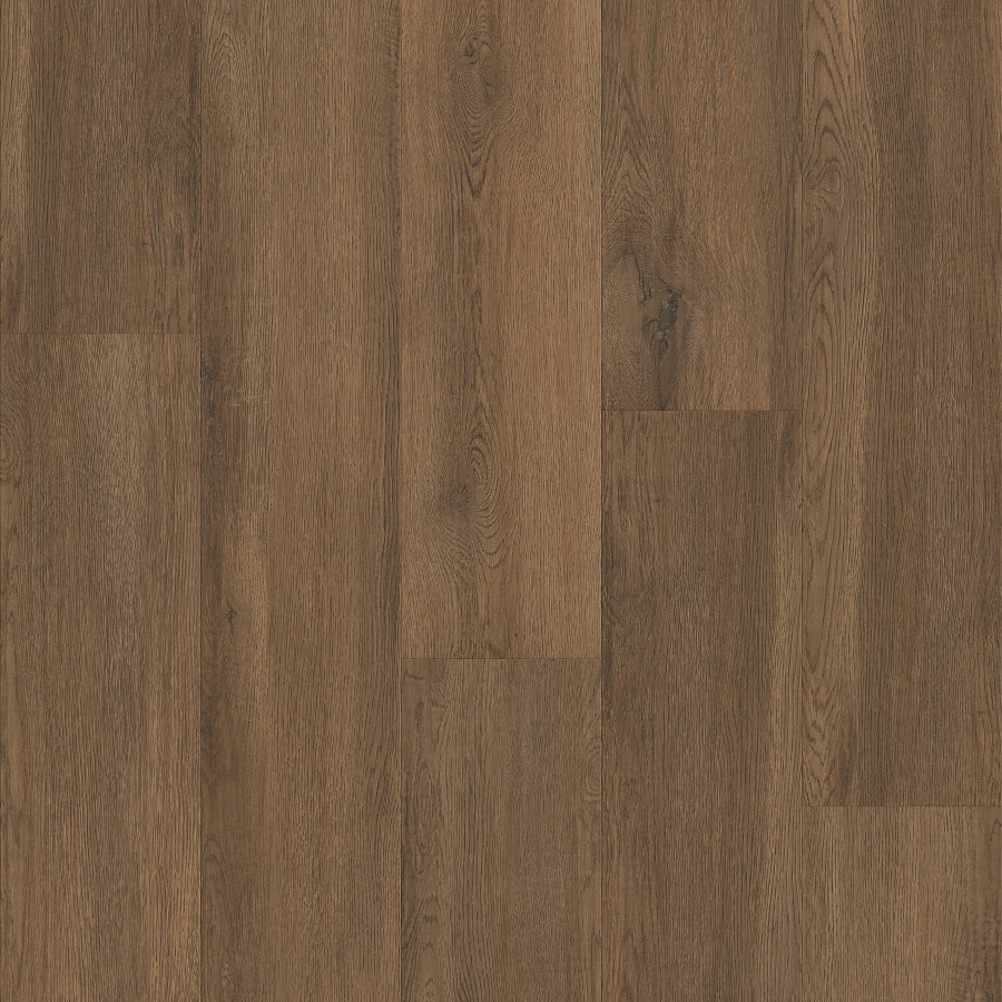 Mesquite Oak