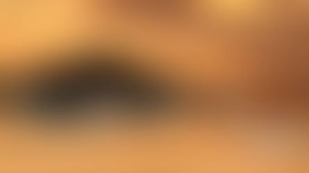 REASONS TO CREATE AN EXPERIENTIAL RESORT