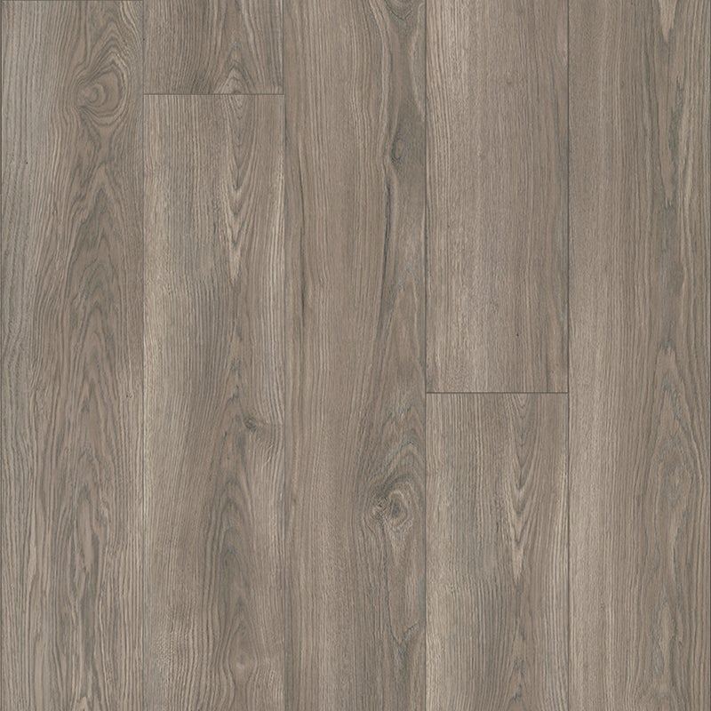 Monarch Oak