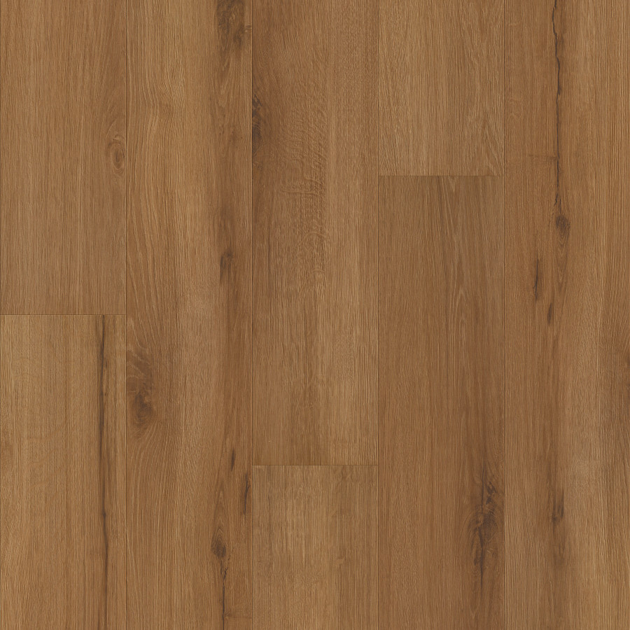 Harvest Oak