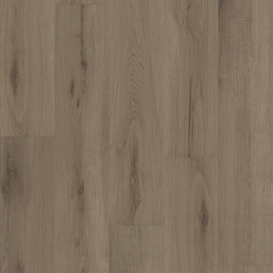 Dusted Oak