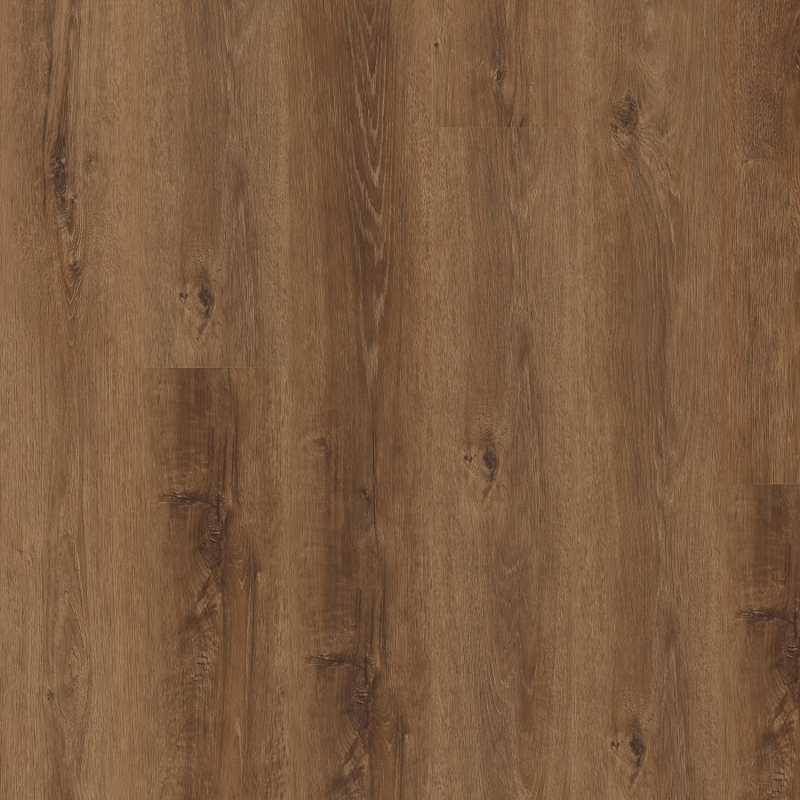 Garnet Oak