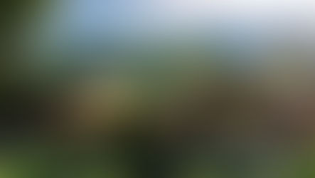 TAKING A RAINFOREST RESORT TO THE NEXT LEVEL