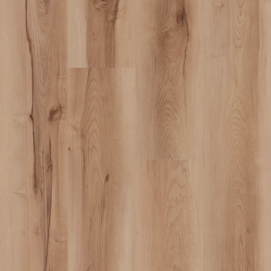 Ecru Maple