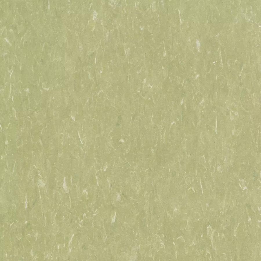 Green Grape 526
