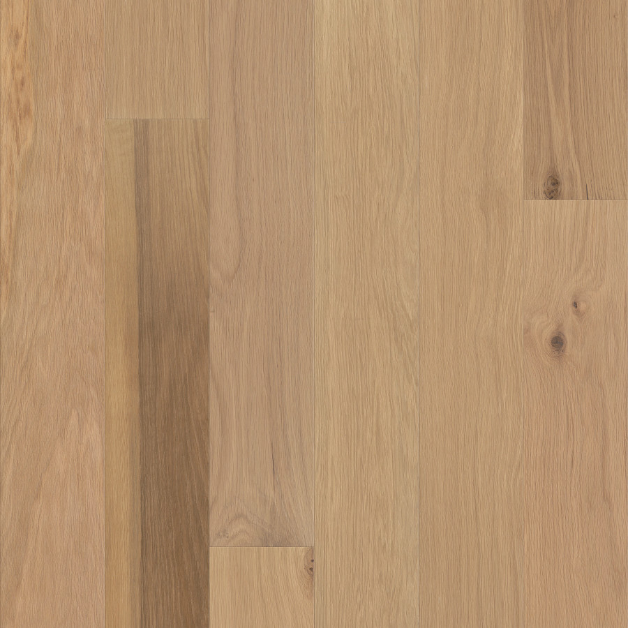 Ethos